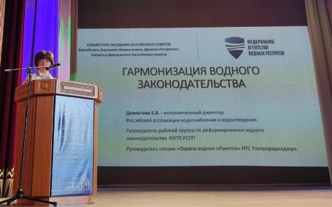 РАВВ представила концепцию детерминированного подхода к нормированию сбросов сточных вод на совместном заседании бассейновых советов