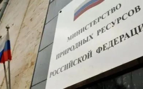 Минприроды России считает обоснованным поэтапное увеличение ставок платы за негативное воздействие на окружающую среду в ближайшую пятилетку