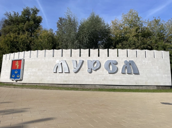 РАВВ: причиной отравления водопроводной водой в Муроме могло стать нарушение «целостности» сетей водоснабжения на фоне паводков